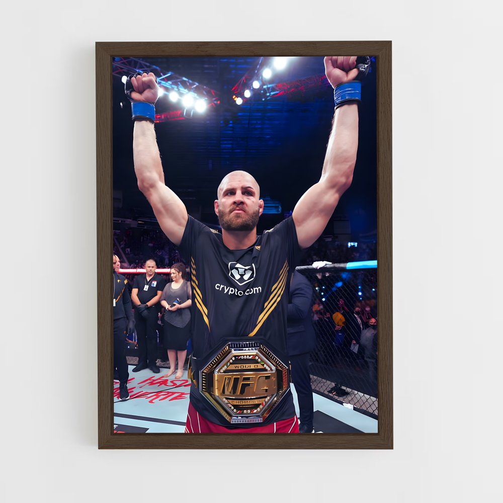 Poster La Victoire de Jiri – affiche MMA (vue 5)
